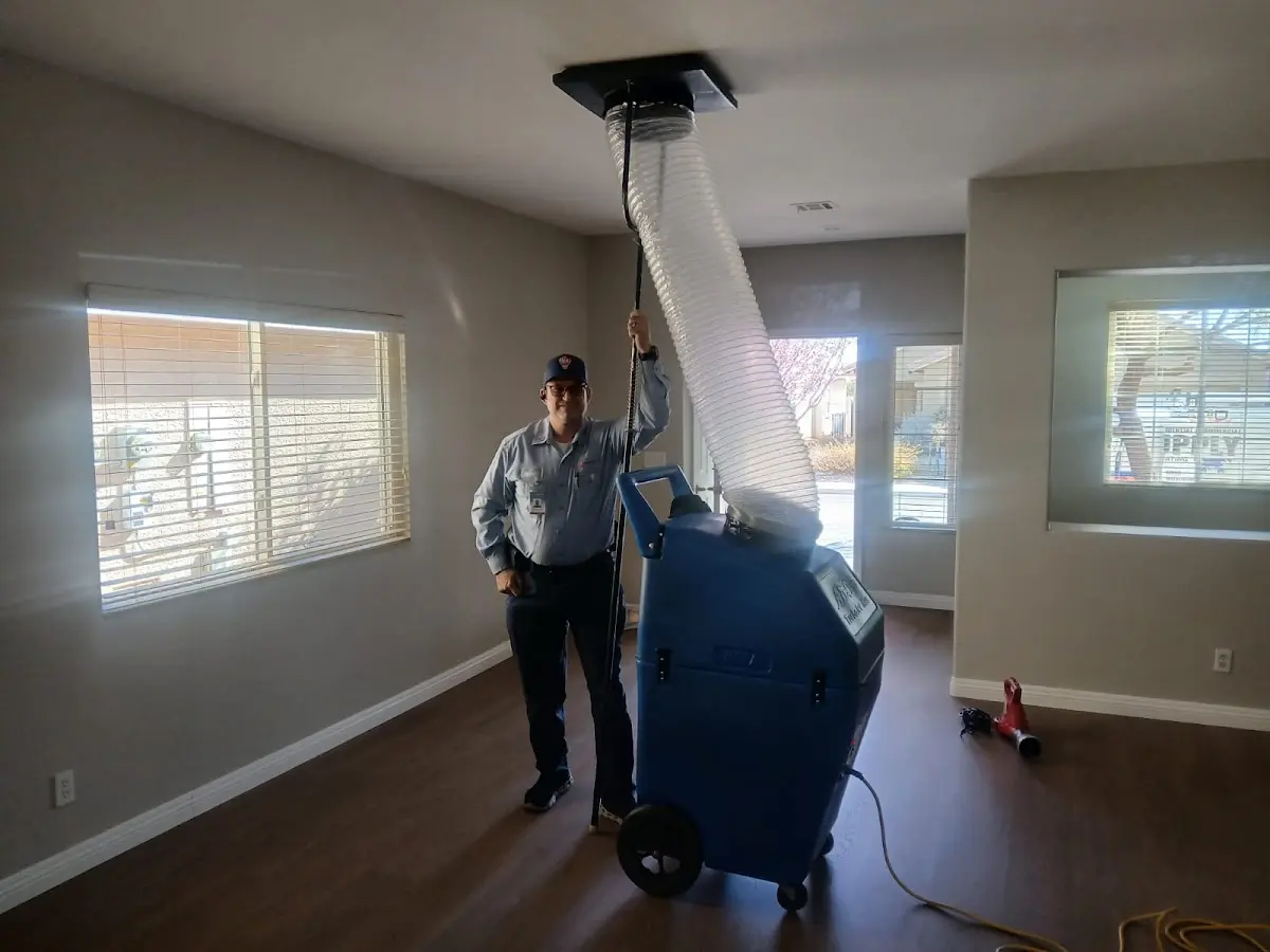 Professional Dryer Vent Cleaning work inside a Ellettsville home